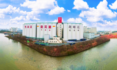 写可持续成长的夸姣将来