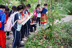 琅琅书声取壮乡歌谣交错回